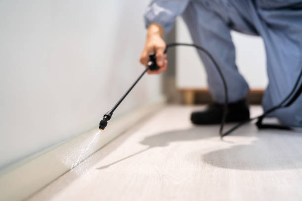Licensed Termite Control service in Sumner, IA - Nex Pest Control