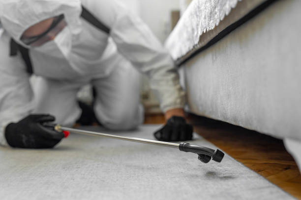 Professional Termite Control technician working in Sumner, IA